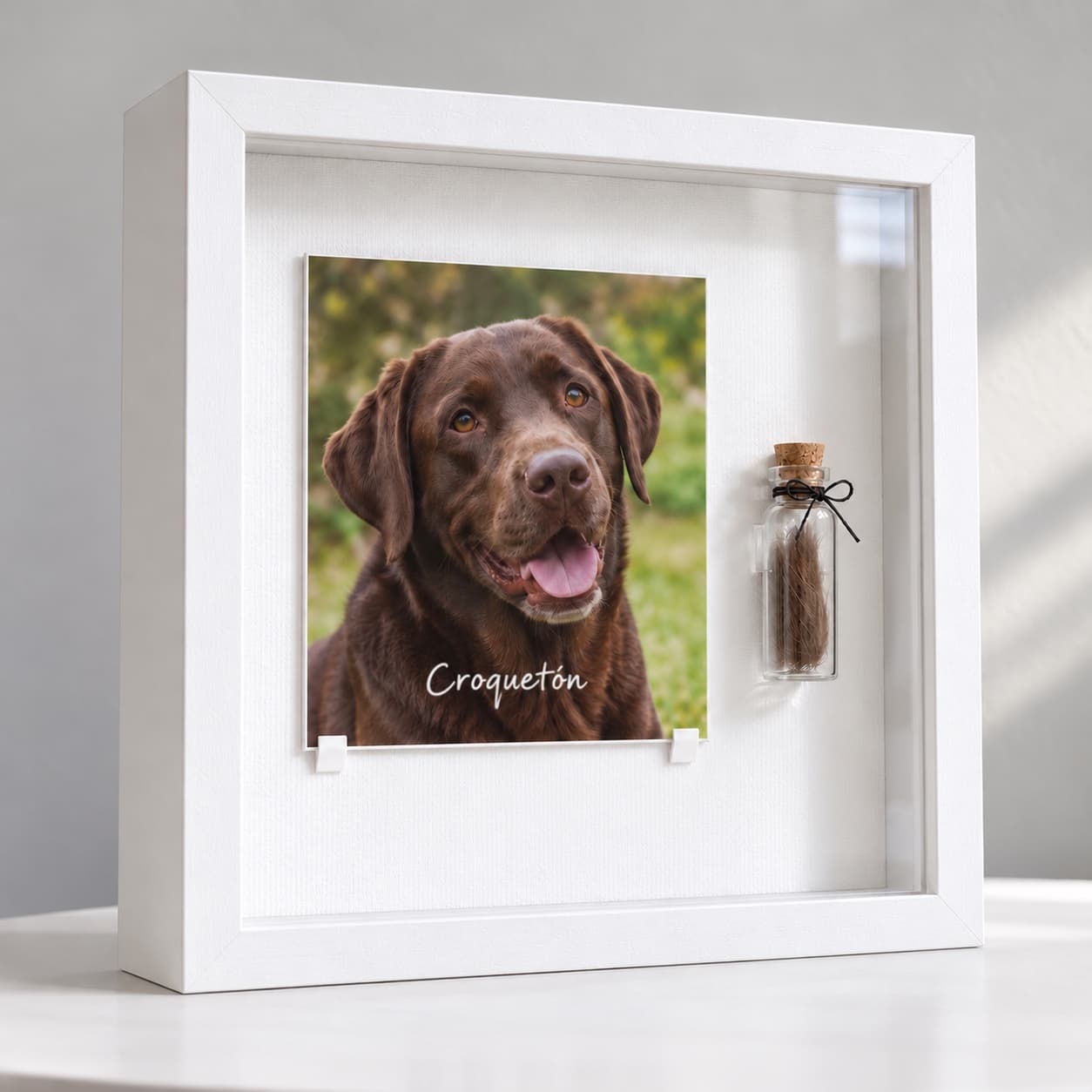 Shadow box de tu mascota